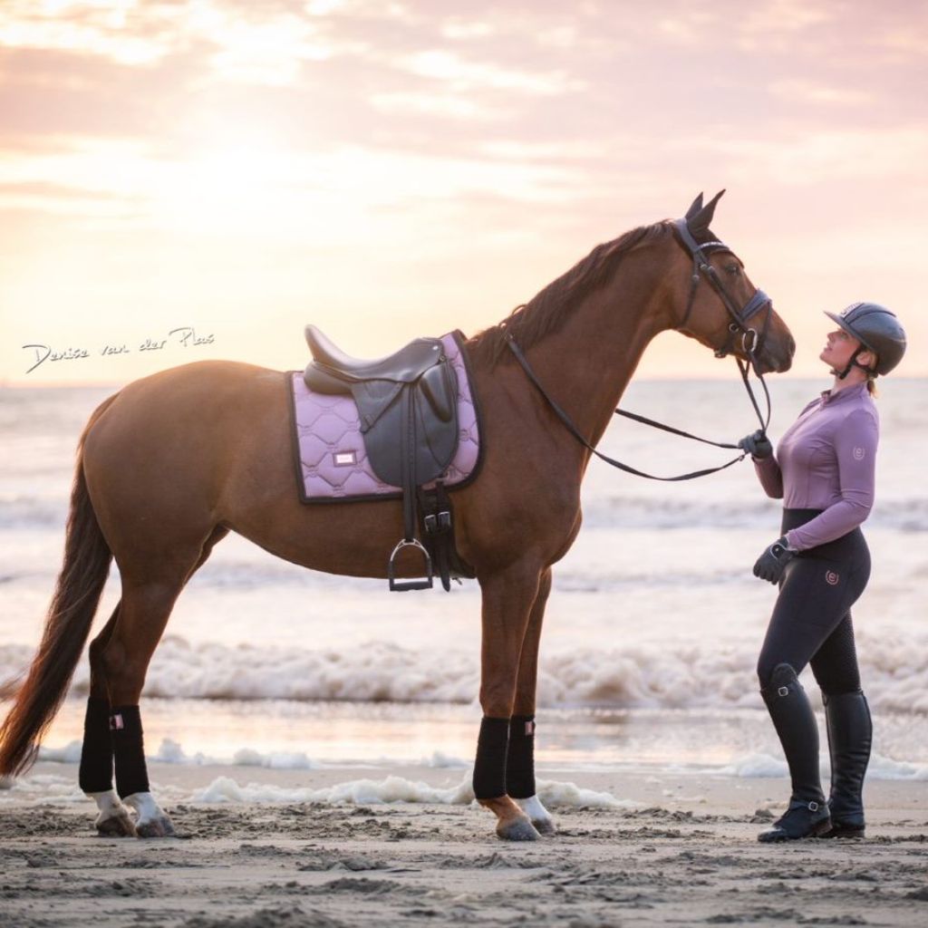 Equestrian Stockholm Dressage Saddle Pad Anemone - Horse in the Box