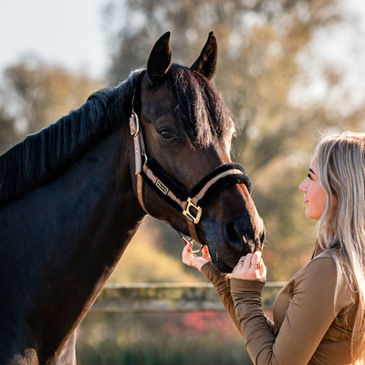 Cavallo Lylou Halter