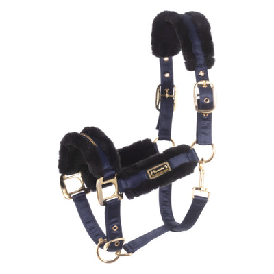 Cavallo Lylou Halter