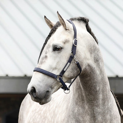 Equilibrium Stellar All Weather Safety Headcollar NEW