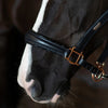 Equestrian Stockholm Glimmer Anatomic Leather Halter Dark Ocean