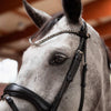 Horze Delemont Slim Browband