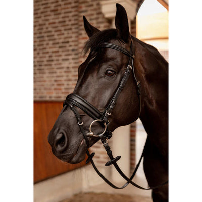 Horze Eternal Gaze Bridle