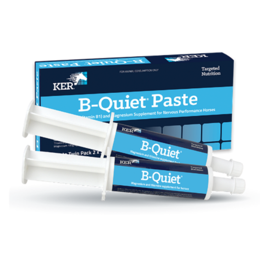 KER BE Quiet Paste 30g x 2 Pack