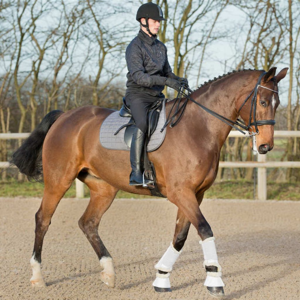 Dressage on sale brushing boots