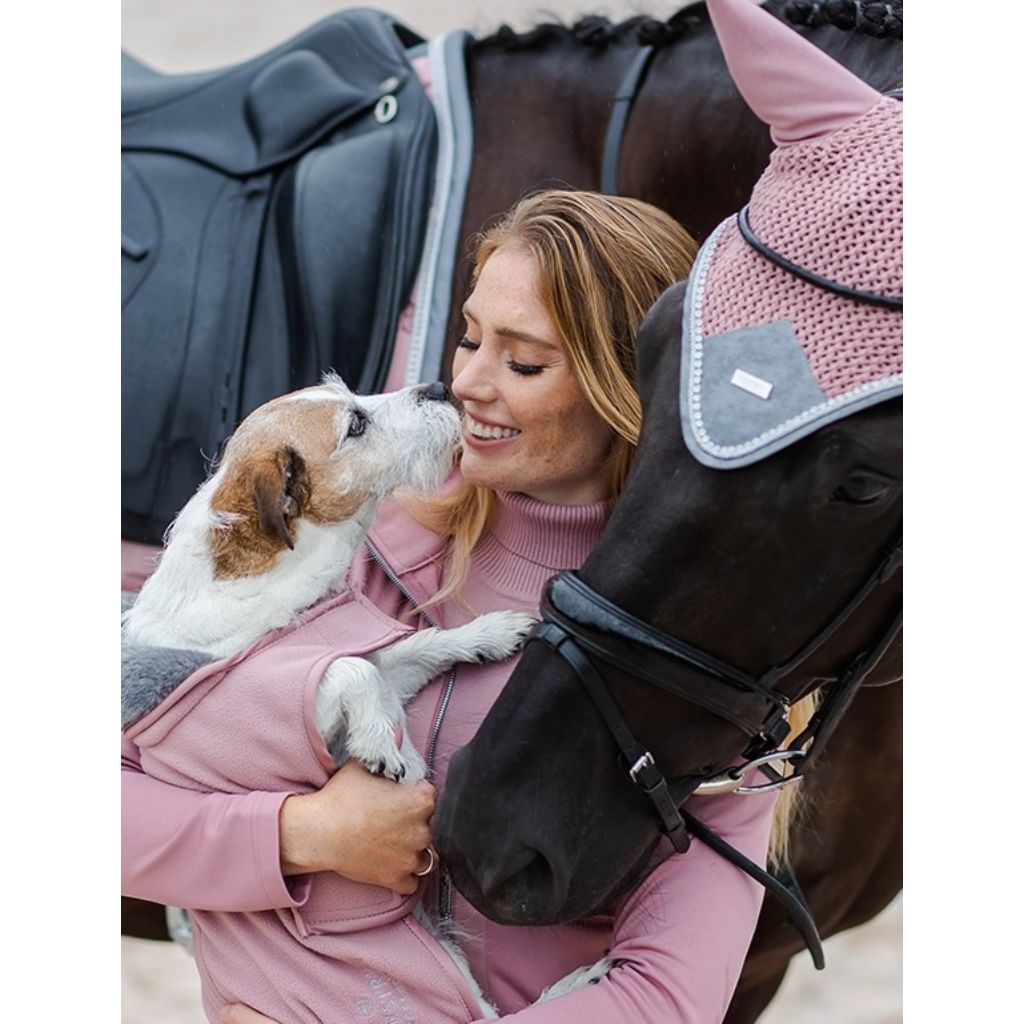 Dog seat shop for horseback riding